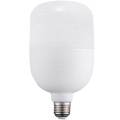 远波 LED灯泡 高富帅王者款-85W-白光-6500K-E27螺口 20个/箱