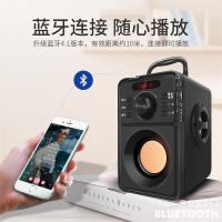 雅兰仕（EARISE） F10户外蓝牙音箱广场舞音响插卡无线低音炮u盘家用手提大功率小型收音机 黑色