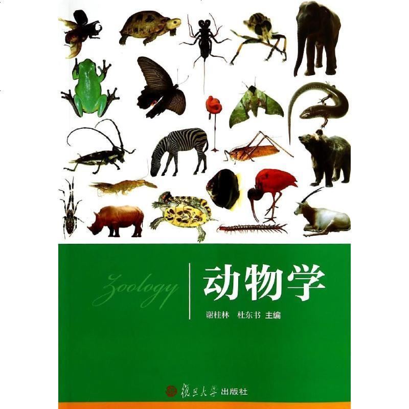 新华书店正版动物学谢桂林杜东书谢桂林复旦大学出版社9787309107210