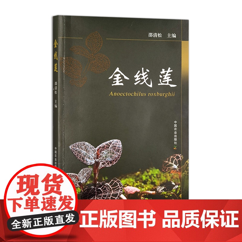 正版 金线莲 320536 邵清松 2024.06高清大图