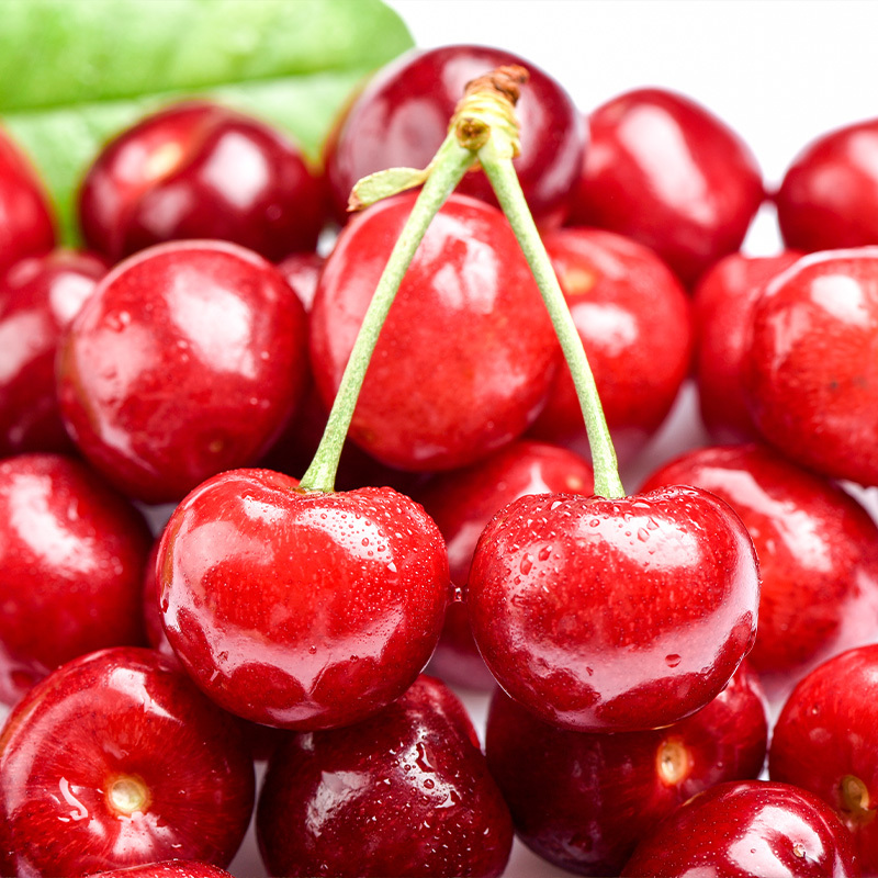 顺丰快递【西沛生鲜】大连美早大樱桃 车厘子JJ级 净重4.8斤