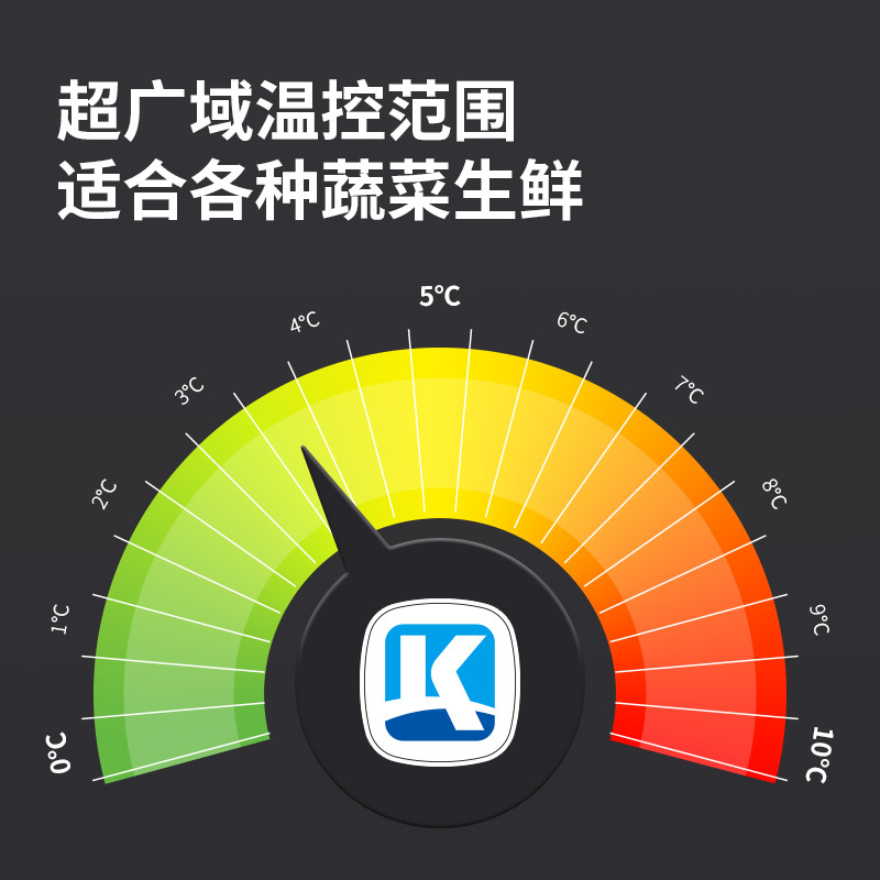 金佰特 KING BETTER 商用展示柜冷藏立式两门冰柜 水果蔬菜饮料保鲜酒店不锈钢陈列柜