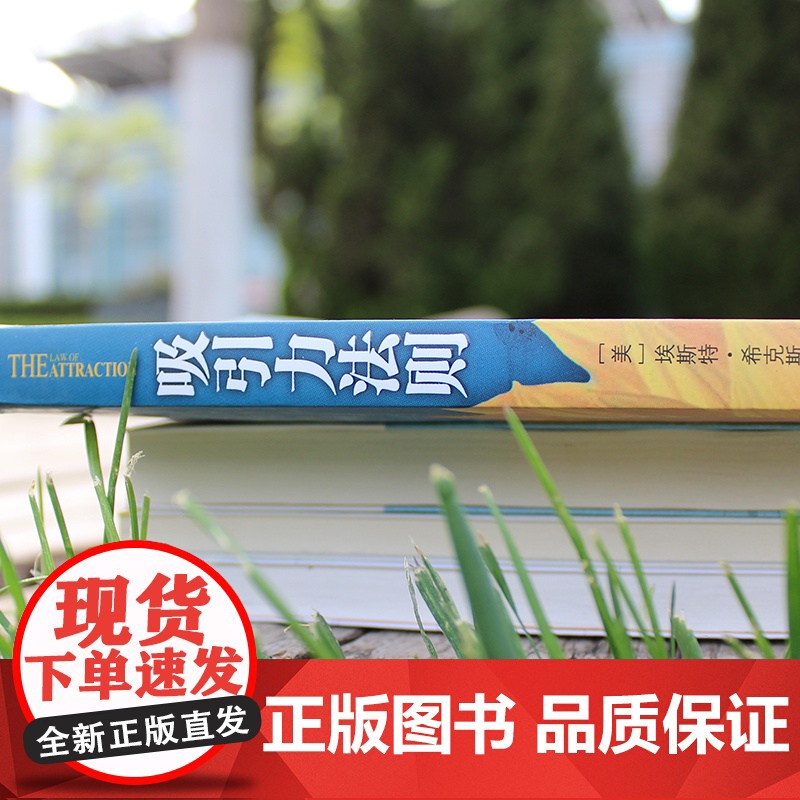 吸引力法则 新版 正版书籍 生活中的事物 都是自己吸引过来的 用吸引力法则创造自己想要的人生 风靡的心理法则高清大图