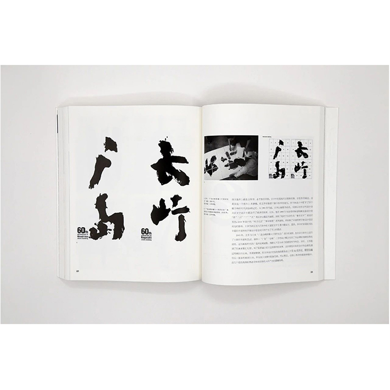 醉染图书中国现代文字设计图史9787301296004高清大图