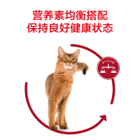 皇家(ROYAL CANIN)猫粮 营养成猫粮 F32/2KG