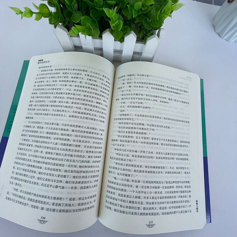 简爱 [正版]青少年成长文学11册 中小学生课外阅读文学经典 提高语文读写能力 小王子木偶奇遇记 八十天环游地球 海底两高清大图