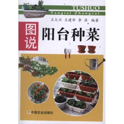 11图说阳台种菜978710916347822