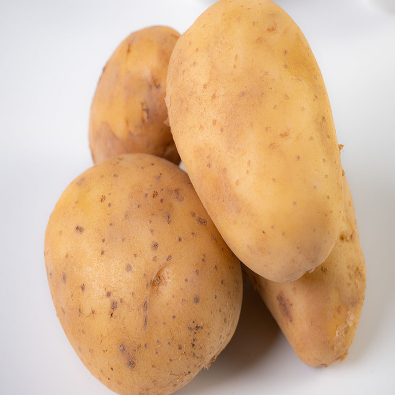 湖北三峡高山屈乡黄心土豆10斤装现挖现卖新鲜大土豆新鲜蔬菜产地直发