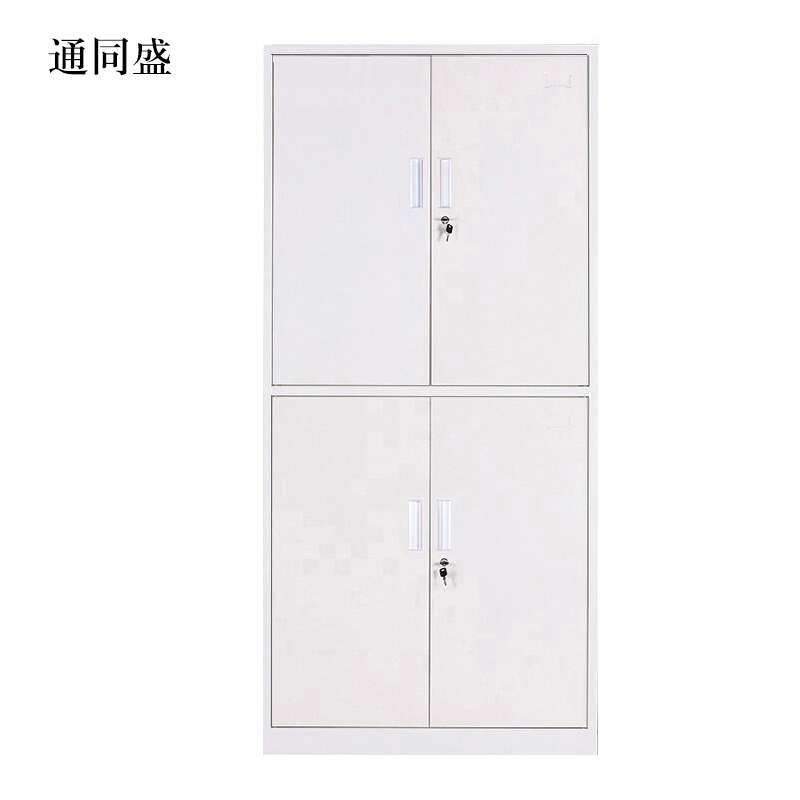 通同盛钢制资料柜档案柜财务凭证柜带锁储物柜铁皮柜书柜通双节文件柜