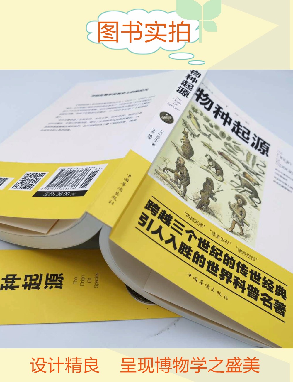 [正版]物种起源 达尔文 进化论生物信息学图解科学 了解生命是什么 自然史动植物生物学 自然科学生命生物科学科普课外高清大图
