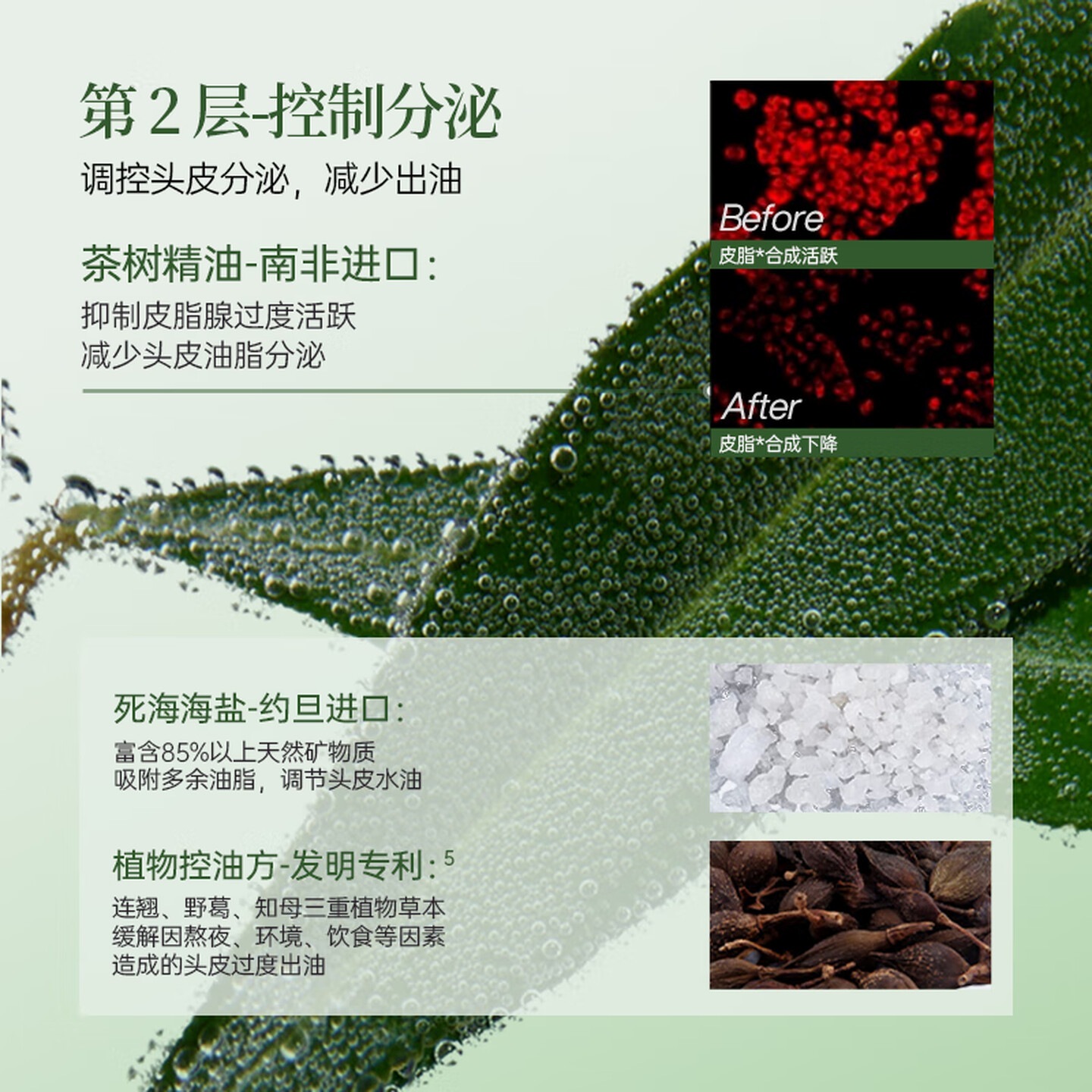 朴致 PURZEAL防脱固发洗发水400ml生姜防脱洗发露强韧健发控油蓬松洗发露高清大图