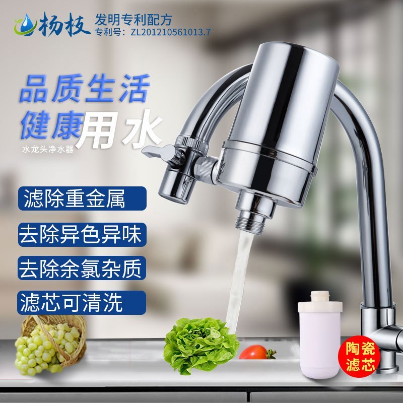 杨枝净水器/电镀银/陶瓷滤芯厨房水龙头滤水器家用直饮自来水过滤器一机二滤