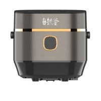 九阳（Joyoung） F-40T25电饭煲4L家用智能IH电饭锅 土灶铁釜煮粥锅 电磁加热电饭煲