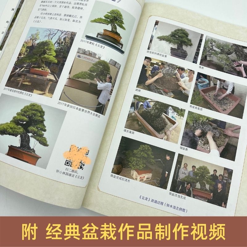 [醉染正版][书小林国雄教你制作盆景 盆景制作书籍花卉树木山水附石盆景制作与养护技巧鉴赏制作管理养花树木盆景造型设计栽培高清大图