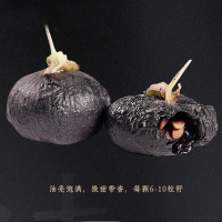 褔東海(FU DONG HAI)黑枸杞 250克/瓶 罐装 青海柴达木诺木洪黑枸杞子青海黑枸杞富含花青素