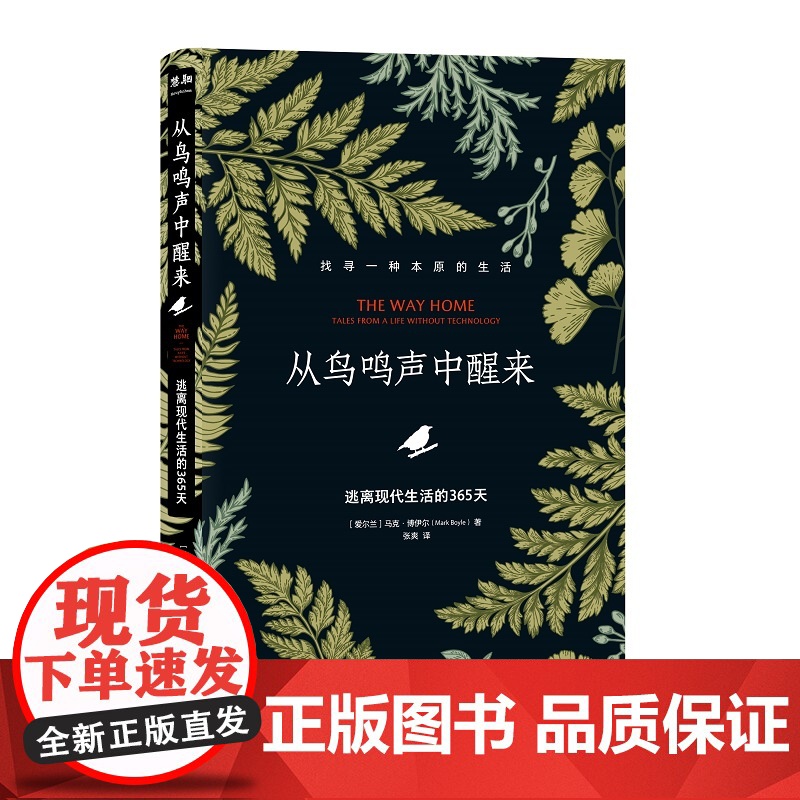 从鸟鸣声中醒来:逃离现代生活的365天高清大图