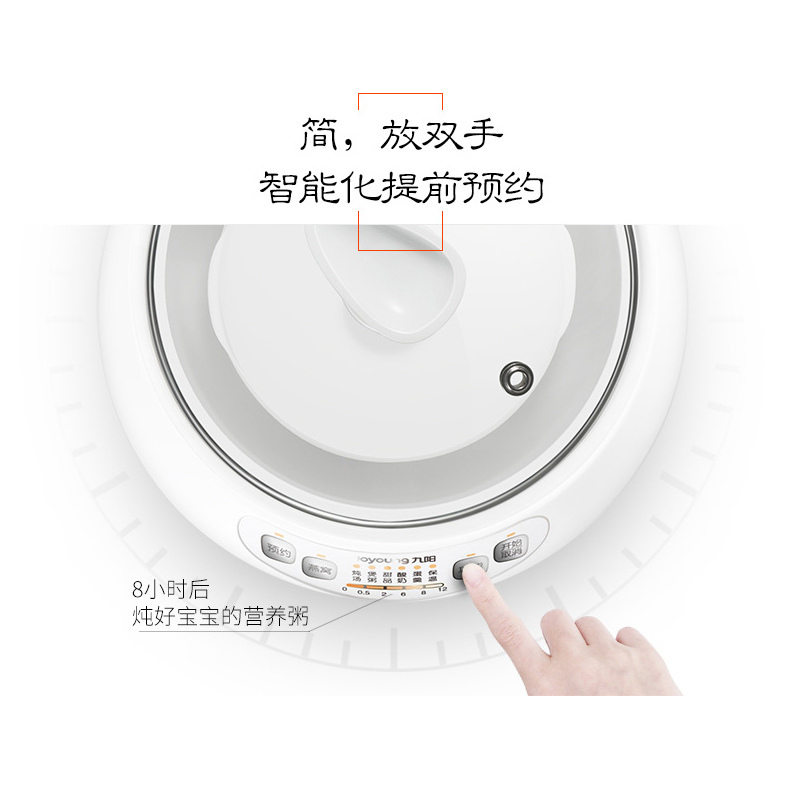 九阳（Joyoung）电炖锅 D-10G1-B 隔水炖陶瓷迷你1-2人煲汤煮粥全自动电炖锅1升单胆