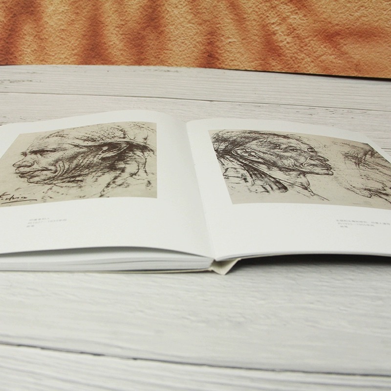 [正版]素描的艺术 费欣 展示了西方600年间素描艺术的发展历程、流派风格及素描大师费欣的技法特征书店书籍高清大图