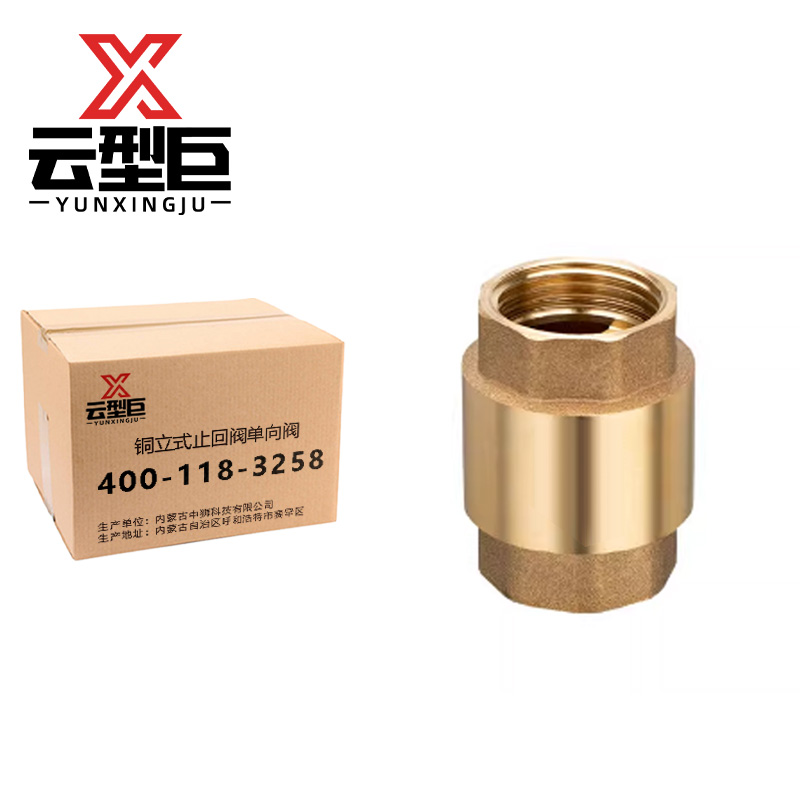 云型巨 铜立式止回阀单向阀 DN25 个高清大图