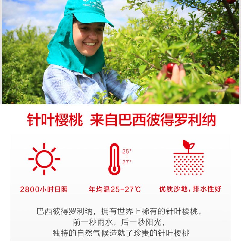养生堂天然维生素C咀嚼片150片 组合装 (VC30便携装*3+30片*2) 维c 补充VC增强免疫力源自巴西针叶樱桃