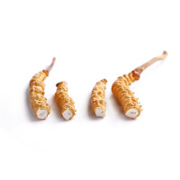青源堂牌 冬虫夏草 断草5克装高洁净饱满冻干虫草几乎全虫肉 性价比更高