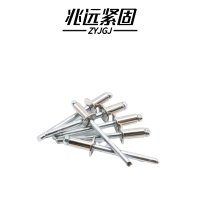兆远紧固 抽芯铆钉拉铆钉(个)(6*25)