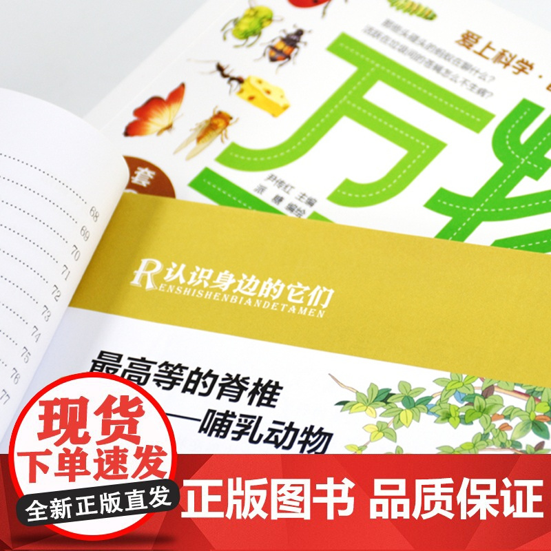 万物了不起 8册 3-6-12岁 1500个趣味知识点 儿童科普百科书籍 小学生课外阅读科普书籍 儿童小学地球动物科普书