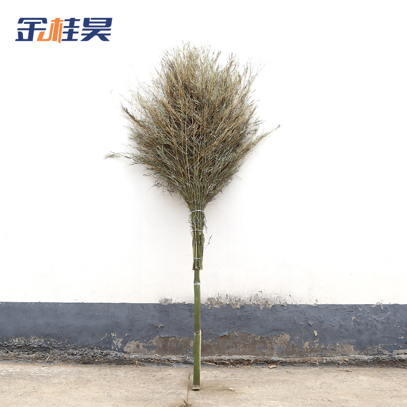 金桂昊 扫把 H5斤 把高清大图