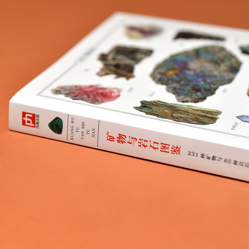 [6册]矿物与岩石+野菜+野花+鸟+名犬+猫图鉴 [正版]全2册 矿物与岩石图鉴+鸟图鉴 矿石百科全书 231种矿物与6高清大图