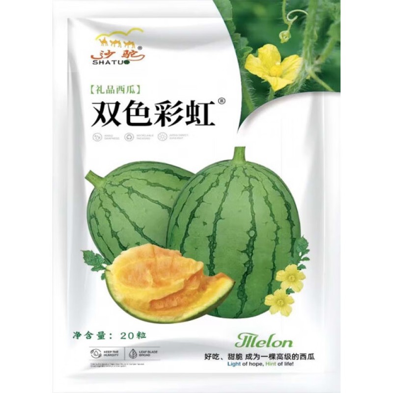 西瓜种子黄瓤双色彩虹200粒高清大图