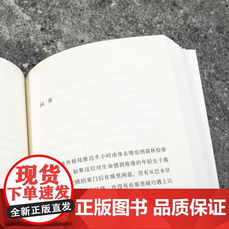 白日尽头 燕妮埃彭贝克 著 当代德语文坛翘楚,一部堪称完美的欧洲小说 书籍 胡烨译 云南人民出版社 外国文学书高清大图