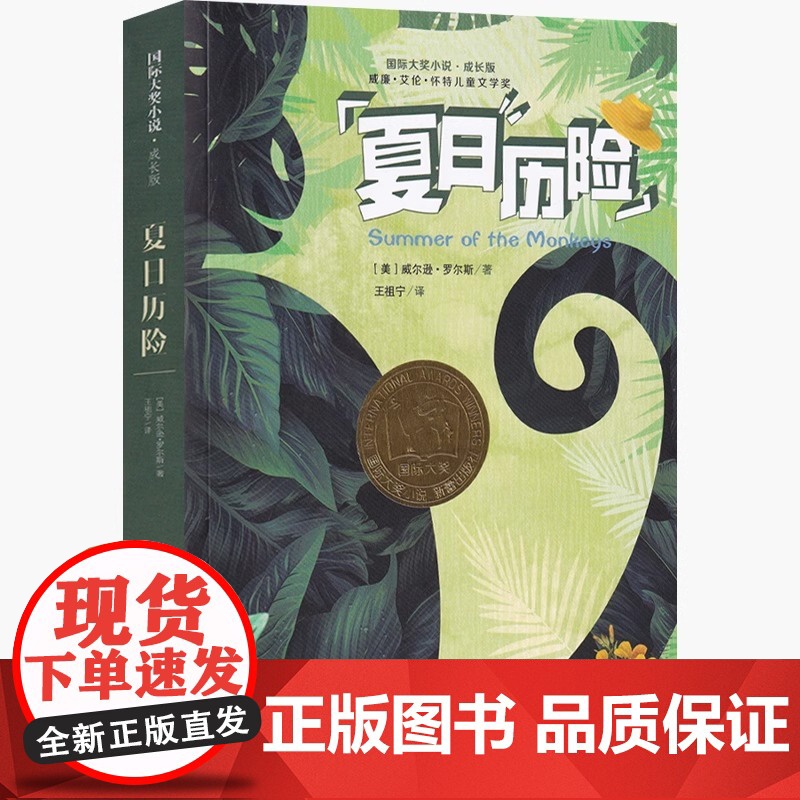 国际大奖小说夏日历险成长版新蕾出版社小学生三四五六年级课外书必读老师阅读人教版纽伯瑞儿童文学金奖系列国际安徒生奖高清大图