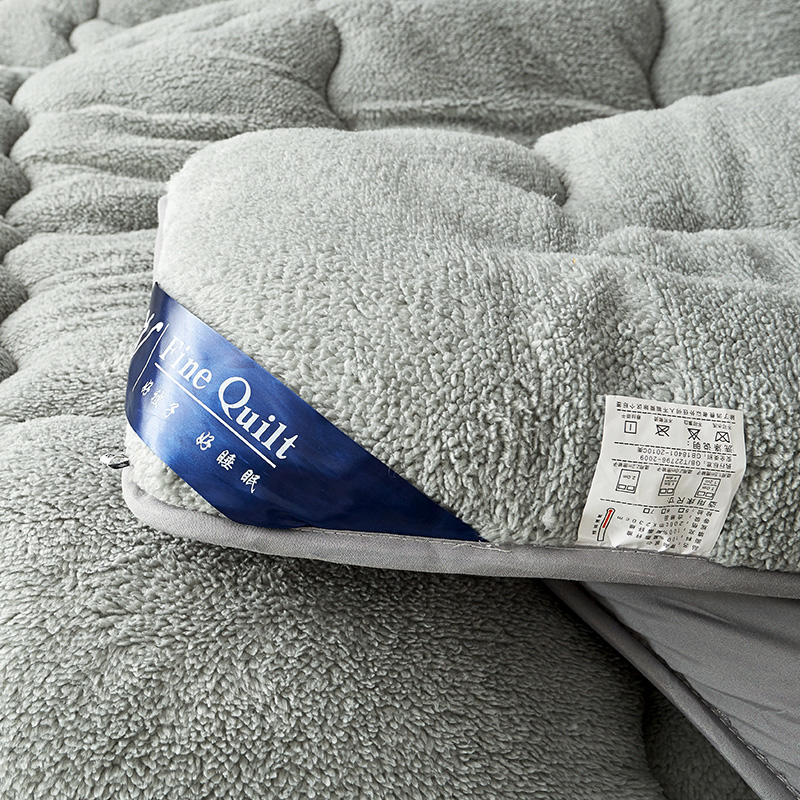伊伊爱Z01900021纯色羊羔绒被子秋冬保暖被高清大图