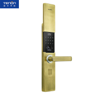亚太天能(TENON)智能指纹锁 锌合金家用指纹密码锁电子门锁 T21e 青古铜