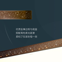 飞利浦 (PHILIPS)吸顶灯现代简约客厅卧室办公室会议室调光调色长方形LED吸顶灯 悦曜80w(含遥控)