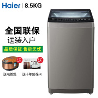 Haier/海尔 S8518BZ61 8.5kg 波轮洗衣机 全自动 直驱变频 家用波轮洗衣机 下排水
