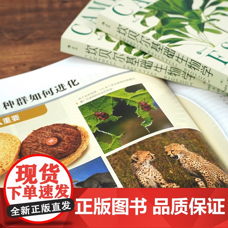 坎贝尔基础生物学 坎贝尔基础生物学 写给非生物学专业学生的科普读物 生命进化遗传 大众通识 教育 科学书籍高清大图