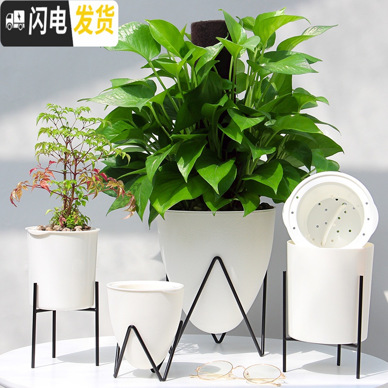 三维工匠懒人绿萝吊兰塑料透明免浇水花盆小绿箩自动吸水大号创意水培花盆 铁架款小号D03蛋型盆 中等花盆容器高清大图