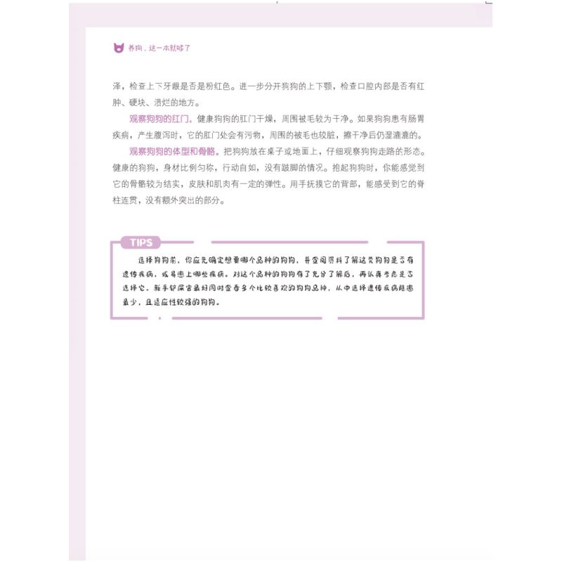 音像养狗,这一本就够了艾虎