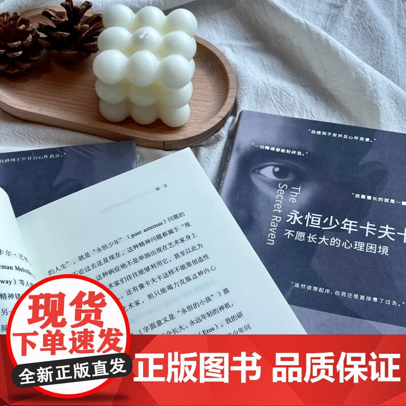 永恒少年卡夫卡 不愿长大的心理困境 达里尔·夏普 著 心理学高清大图