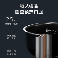 大宇(DAEWOO)电饭煲电饭锅 4L 家用IH电磁加圆灶精铁内胆FB01白色