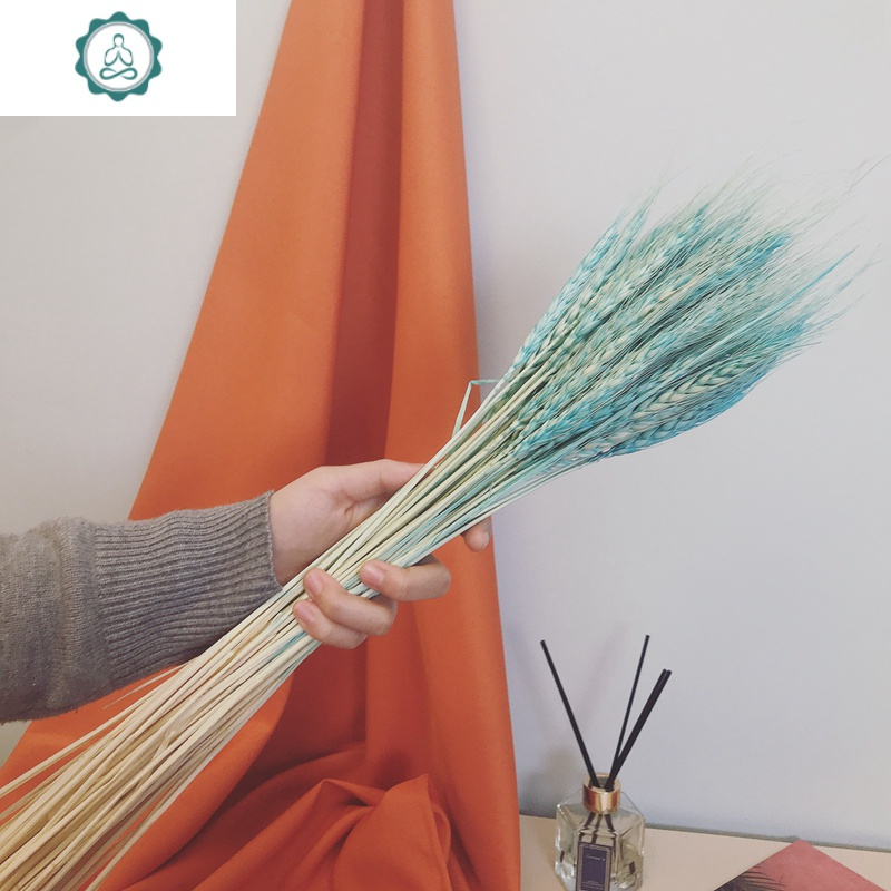 ins风网红花束粉色芦苇干花永生花插花真花 永生花