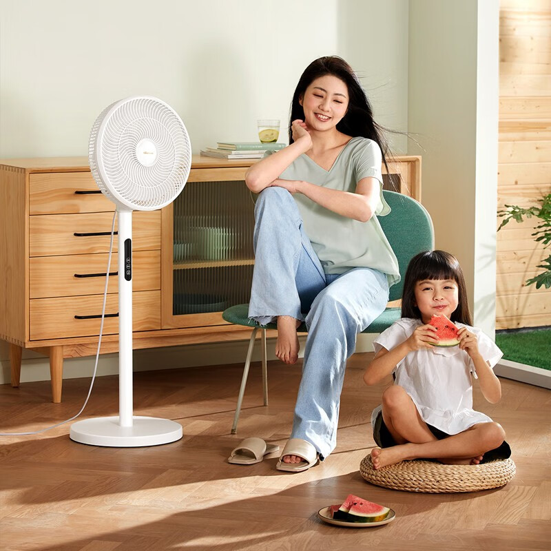 小熊(bear)生活小家电小熊(bear)dfs-d47f2电风扇落地扇台扇报价_参数