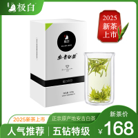 2025绿茶 极白安吉白茶特级100g正宗礼盒装 珍稀春茶明前茶叶