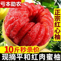 福建平和红心柚子10斤装当季孕妇水果管溪新鲜甜红肉蜜柚[三天内发货]
