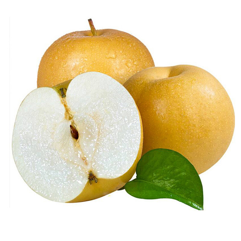 [熊猫鸟]新鲜山东莱阳秋月梨 净重4.5斤中果(共7-9枚装) 当季水果 现摘现发 香甜可口高清大图