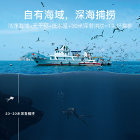 久年6A大连淡干海参干货500g野生辽刺参非即食特价深海老人小孩孕妇营养健康50-70头