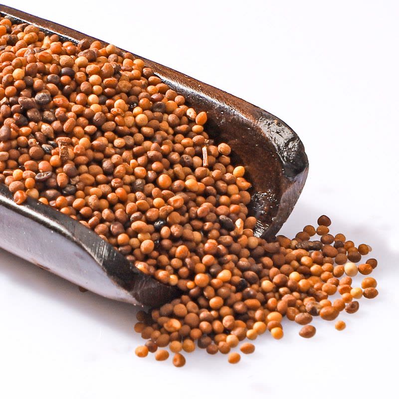 半山农 菟丝子茶 内蒙古兔丝子 可做泡酒料 250克/瓶 中药材图片