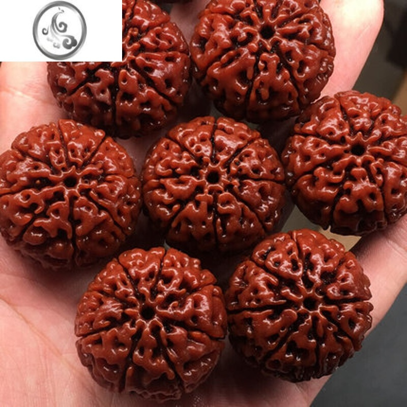 jimi尼泊尔金刚菩提手串男士六七八瓣大金刚菩提子原籽文玩佛珠手链女