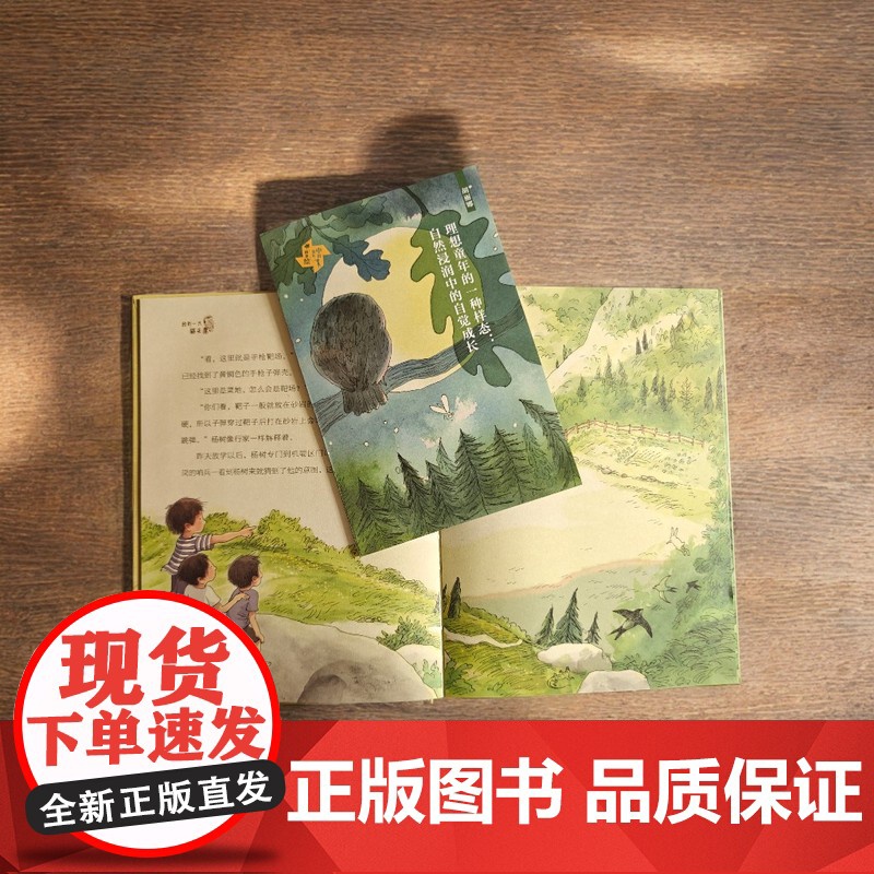 捡到一只猫头鹰精装 中国童年故事绘 儿童游戏故事书 童年 儿童成长课外阅读故事书高清大图